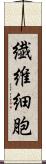 繊維細胞 Scroll