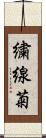 繍線菊 Scroll