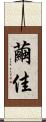 繭佳 Scroll