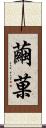 繭菓 Scroll