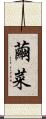 繭菜 Scroll