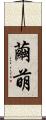繭萌 Scroll
