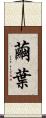 繭葉 Scroll