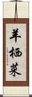 羊栖菜 Scroll