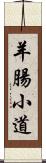 羊腸小道 Scroll