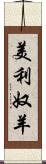 美利奴羊 Scroll