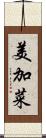 美加菜 Scroll