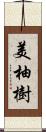 美柚樹 Scroll