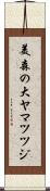 美森の大ヤマツツジ Scroll