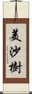 美沙樹 Scroll