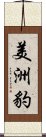 美洲豹 Scroll