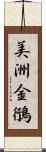 美洲金鴴 Scroll