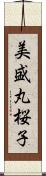 美盛丸桜子 Scroll