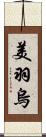 美羽烏 Scroll