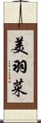 美羽菜 Scroll