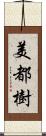 美都樹 Scroll