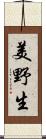 美野生 Scroll