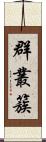 群;叢;簇 Scroll