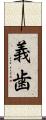 義歯 Scroll