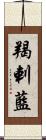 羯剌藍 Scroll