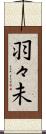 羽々未 Scroll