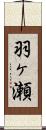 羽ヶ瀬 Scroll