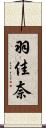 羽佳奈 Scroll