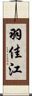 羽佳江 Scroll