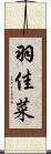羽佳菜 Scroll