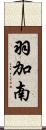 羽加南 Scroll