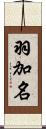 羽加名 Scroll