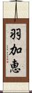 羽加恵 Scroll