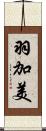 羽加美 Scroll