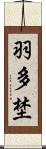 羽多埜 Scroll
