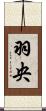羽央 Scroll