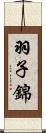 羽子錦 Scroll