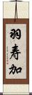 羽寿加 Scroll