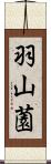 羽山薗 Scroll
