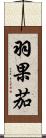 羽果茄 Scroll