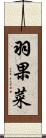 羽果菜 Scroll