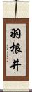 羽根井 Scroll