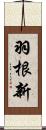 羽根新 Scroll