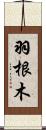 羽根木 Scroll