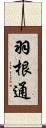 羽根通 Scroll