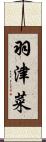 羽津菜 Scroll