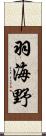羽海野 Scroll