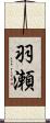 羽瀬 Scroll