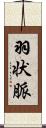 羽状脈 Scroll