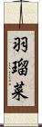 羽瑠菜 Scroll