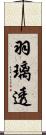 羽璃透 Scroll